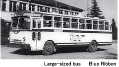 Blue Ribon Bus